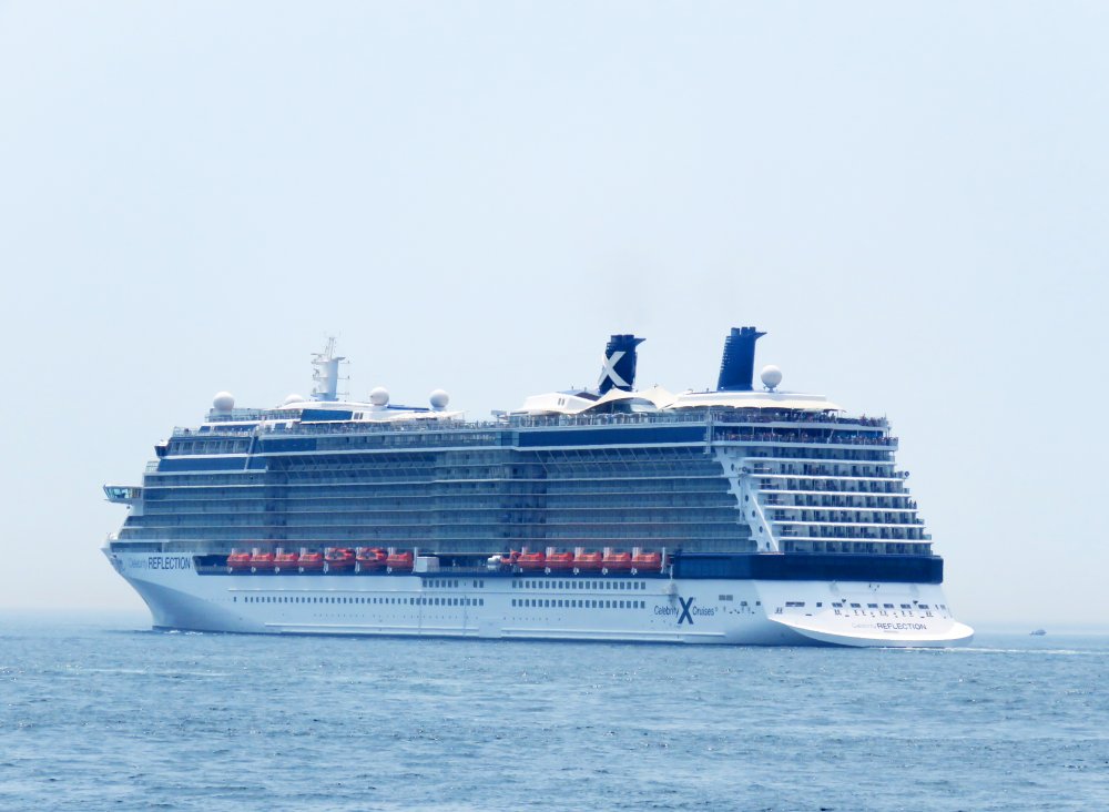 Celebrity Reflection