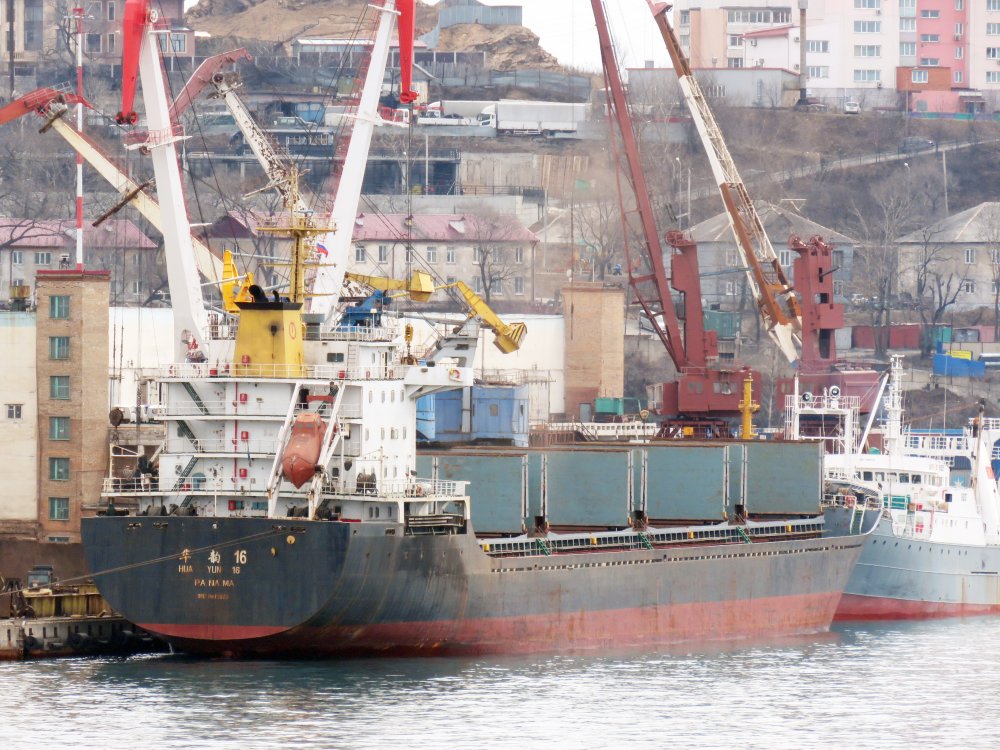 Hua Yun 16