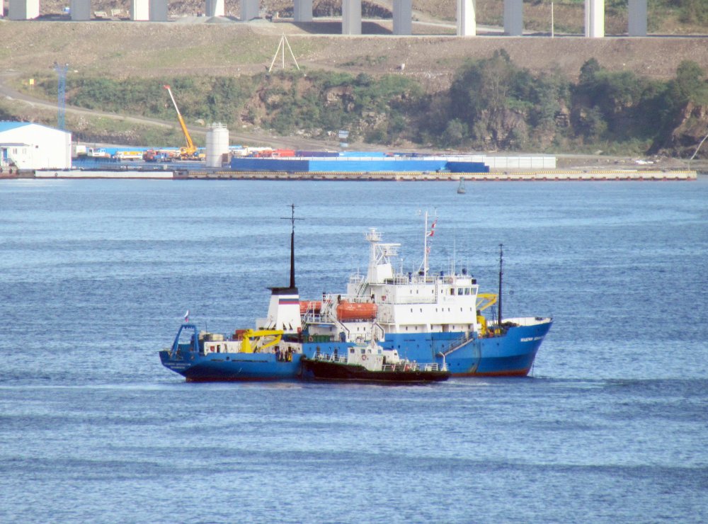 Akademik Shokalskiy