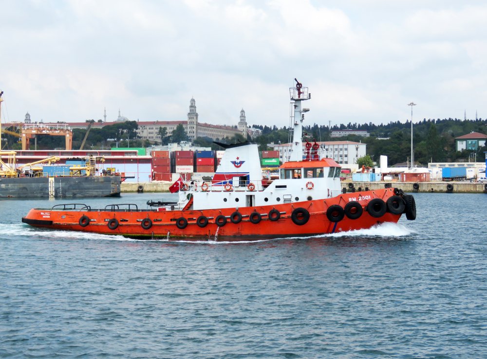 RM 2501, IMO 8107749, Call sign TC6373, Seagoing tugs, Photo #7 RM 2501