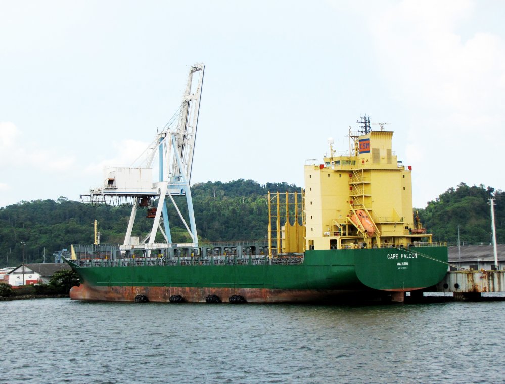Cape Falcon