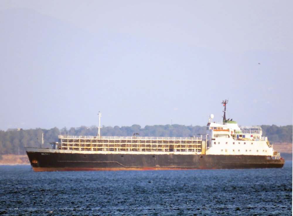 Delta I