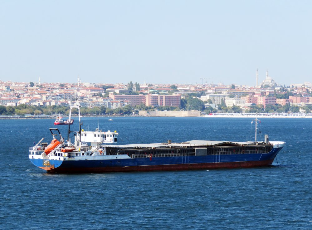 Liva