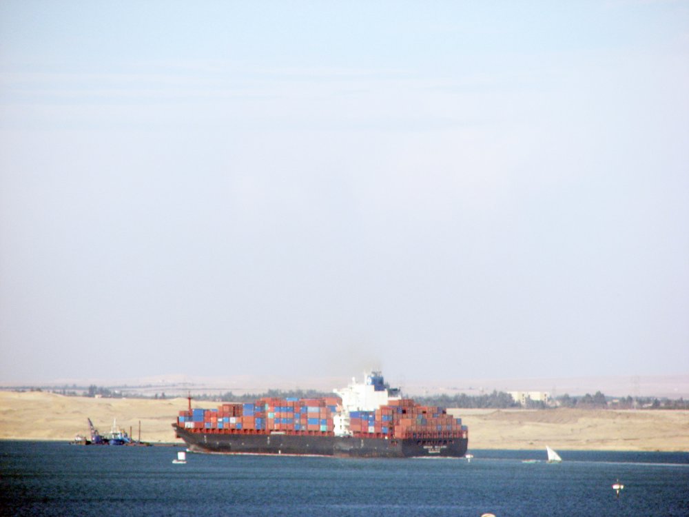 Norasia Bellatrix