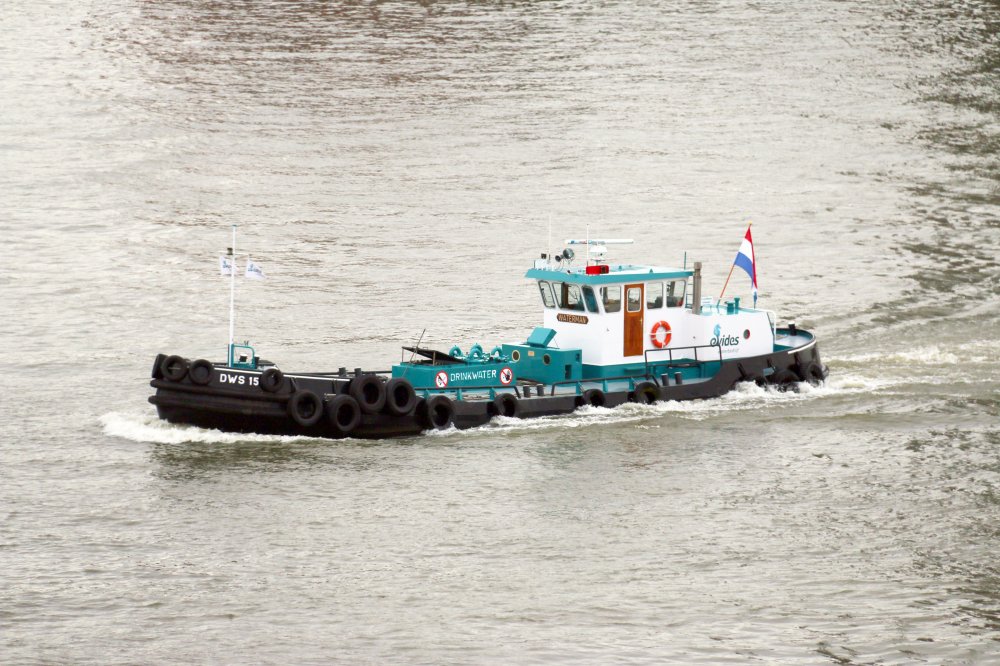 DWS 15