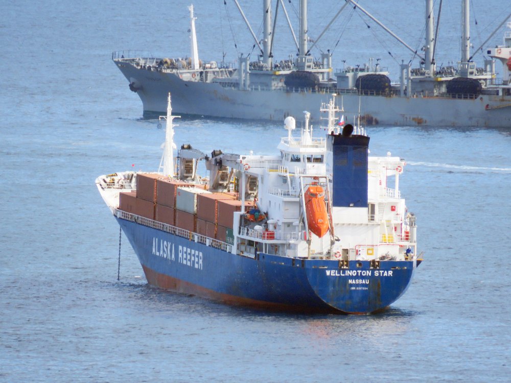 Wellington Star