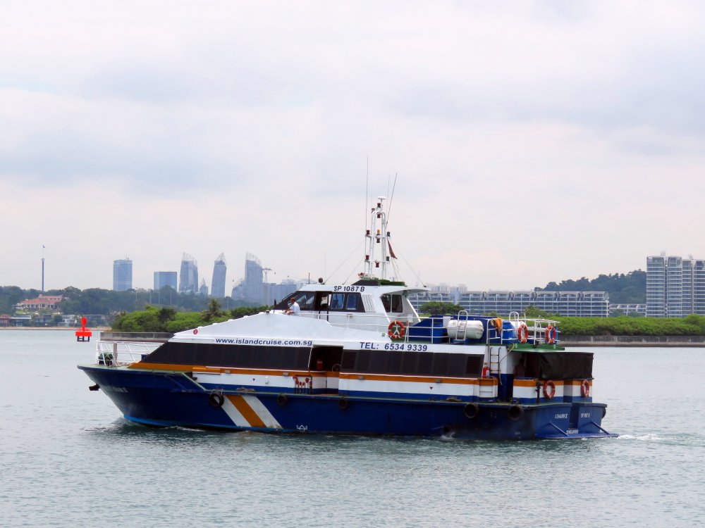 I. Shark II