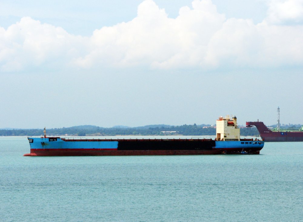 MSC Tia