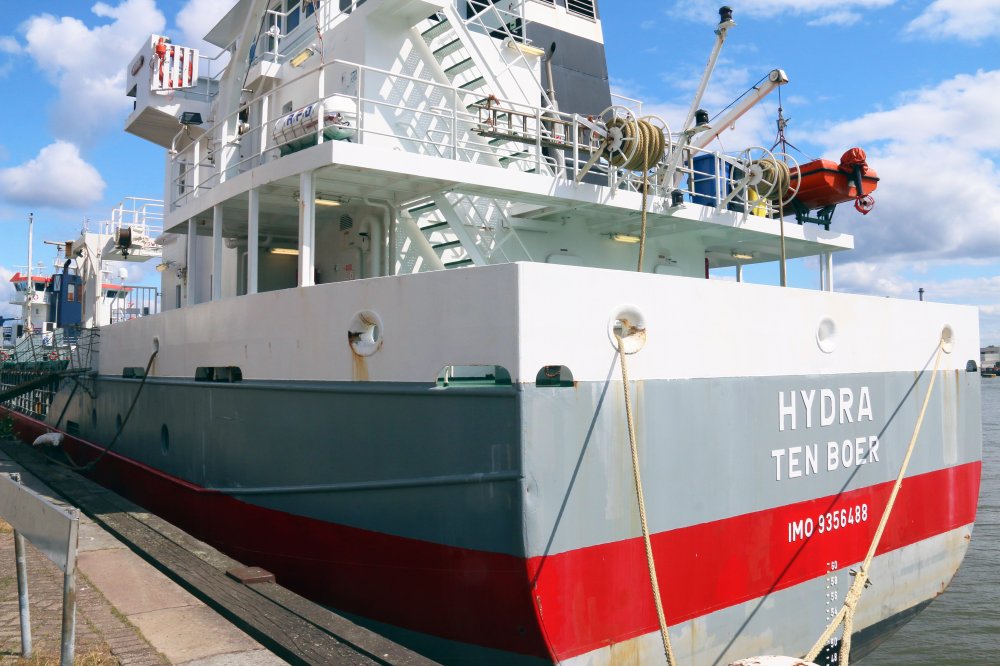Hydra