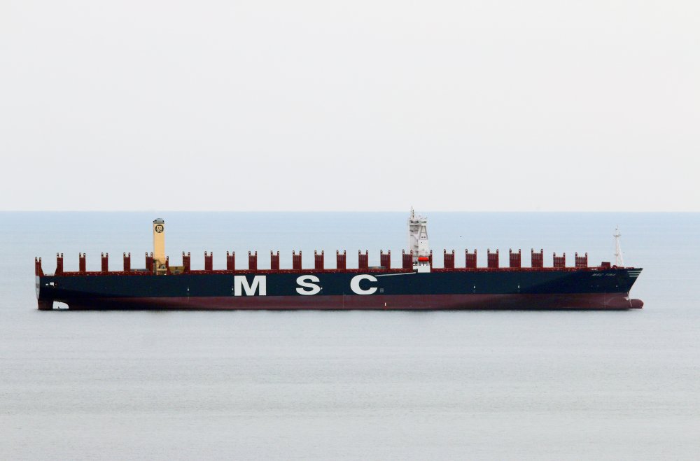 MSC Tina