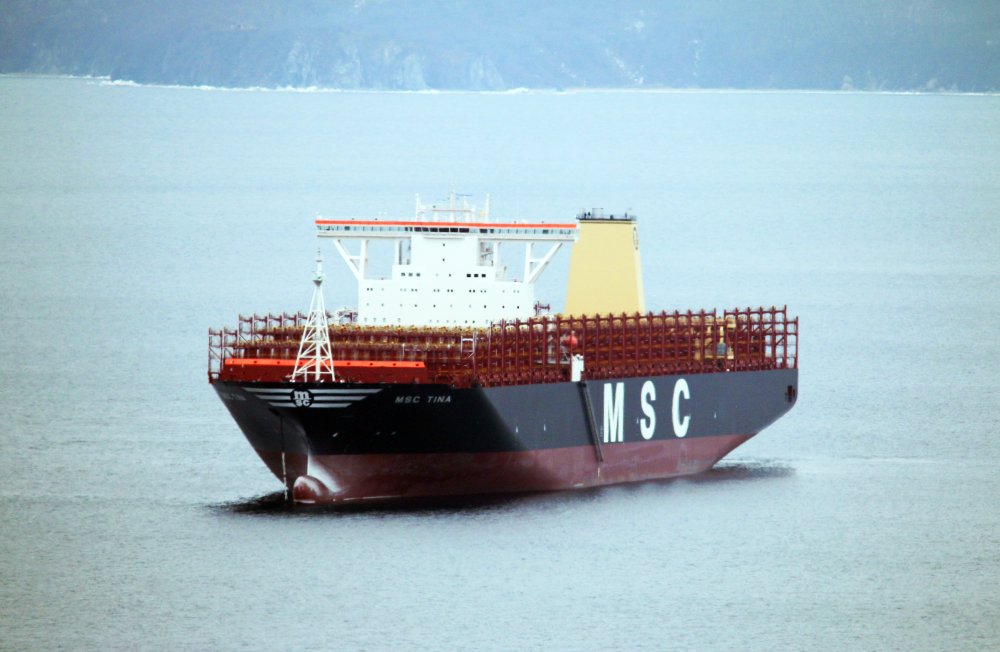 MSC Tina