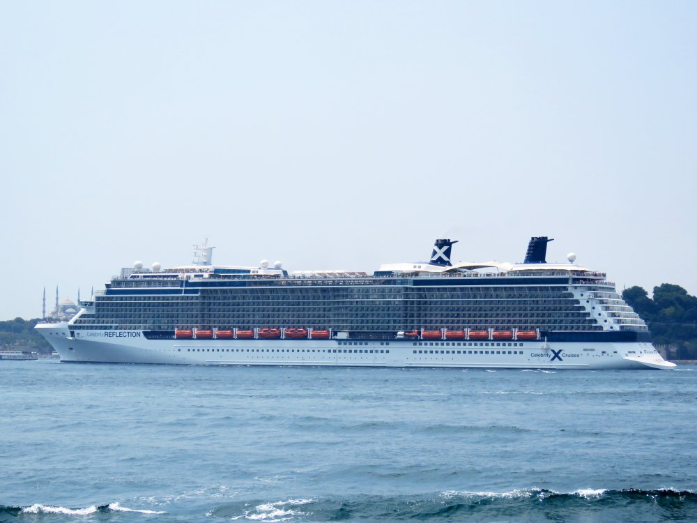 Celebrity Reflection