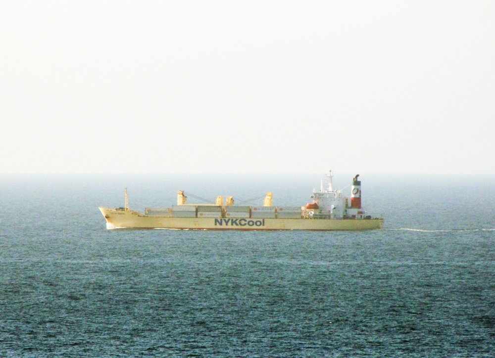 Triton Reefer