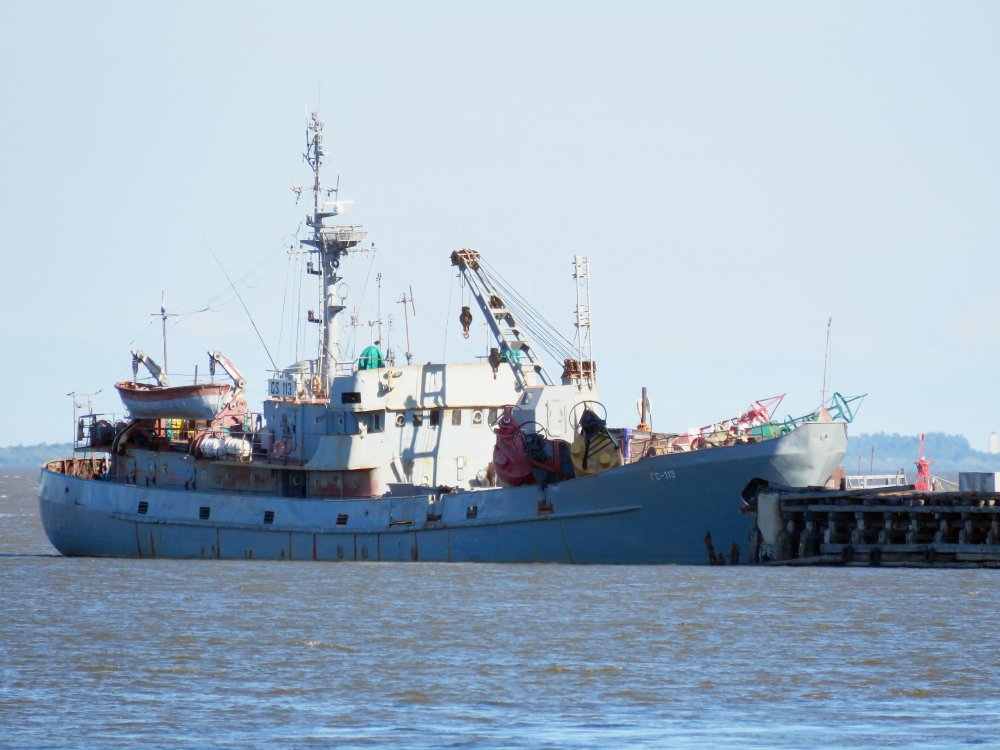 GS-113