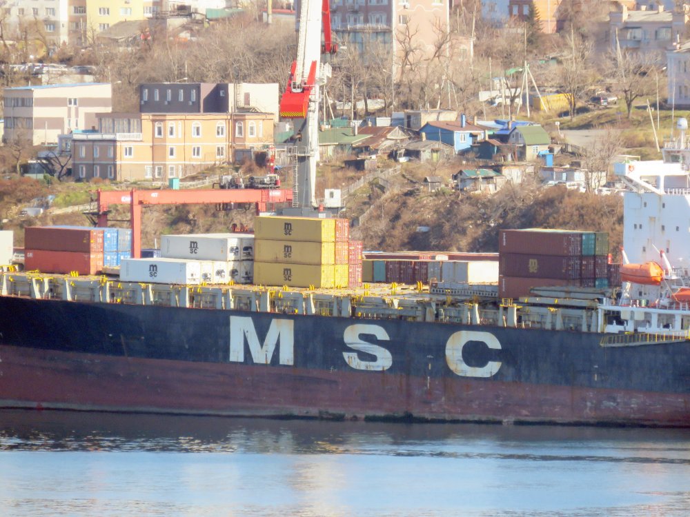 MSC Imma
