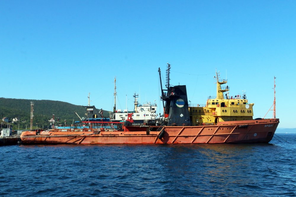 Irbis