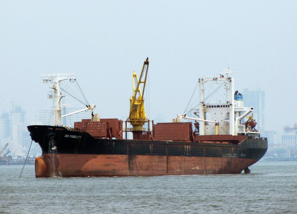 DD Fidelity