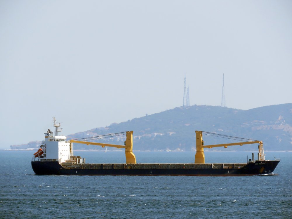 ABB Felina
