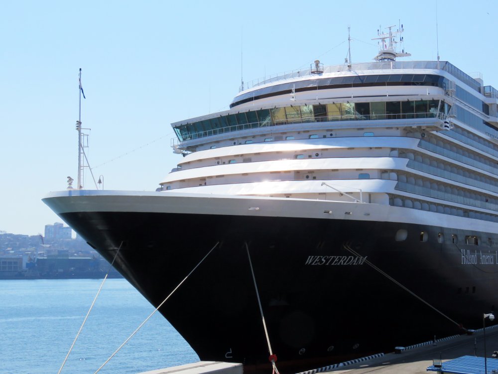 Westerdam