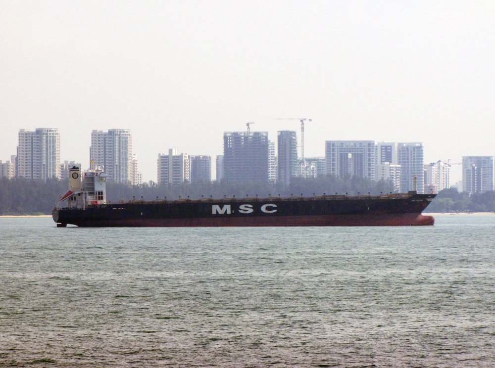 MSC Alexa