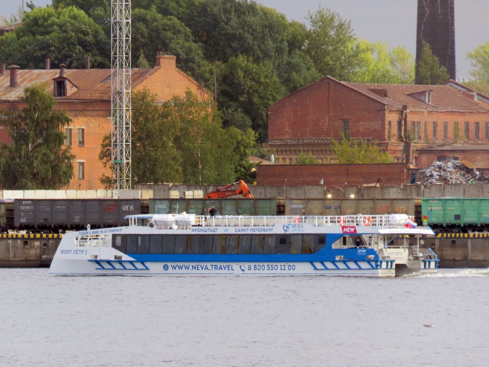 Fort Petr I