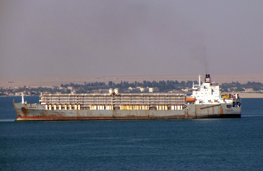 Bader III