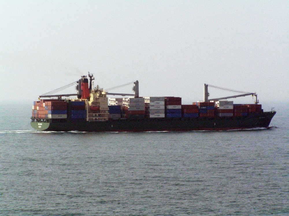 Sea Puma