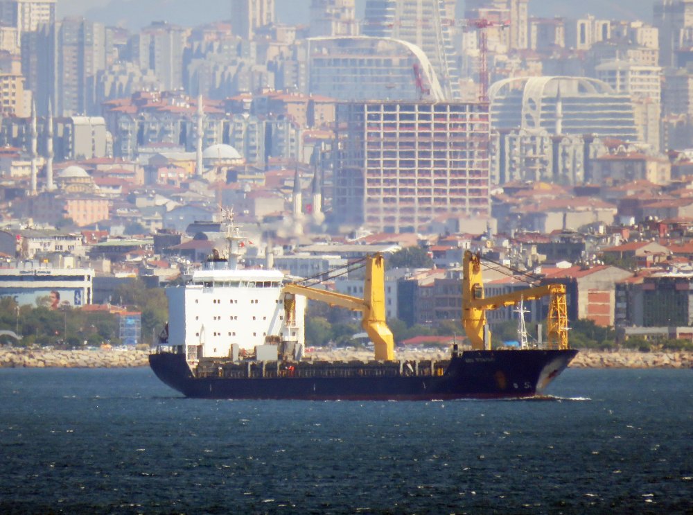 ABB Felina