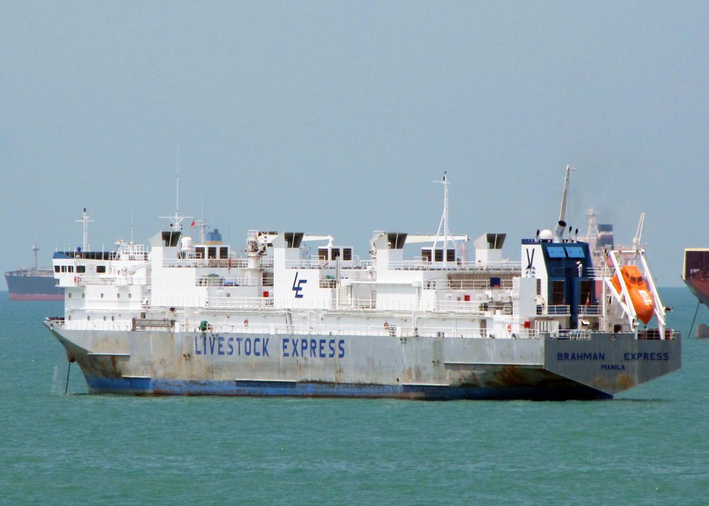 Brahman Express