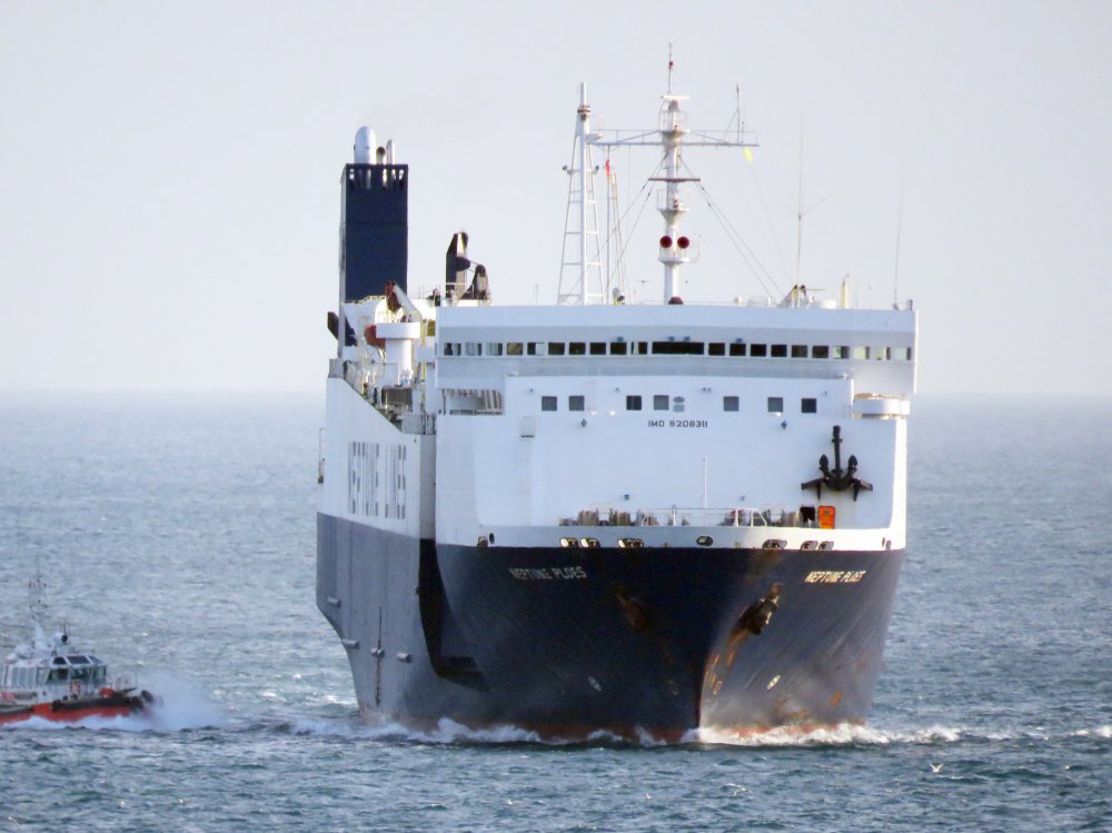 Neptune Ploes
