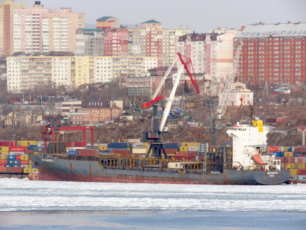 MSC Makoto II