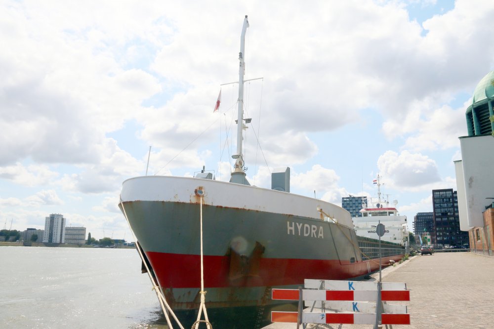 Hydra