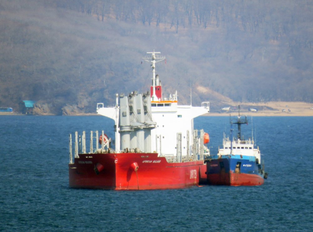 African Bulker