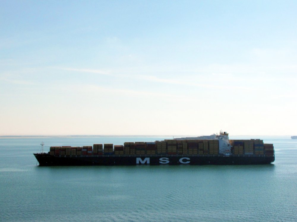 MSC Heidi