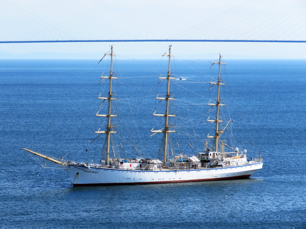 Nadezhda