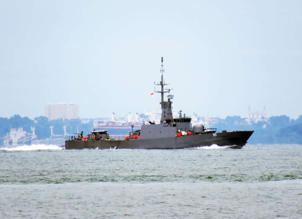 Brave RSS-95
