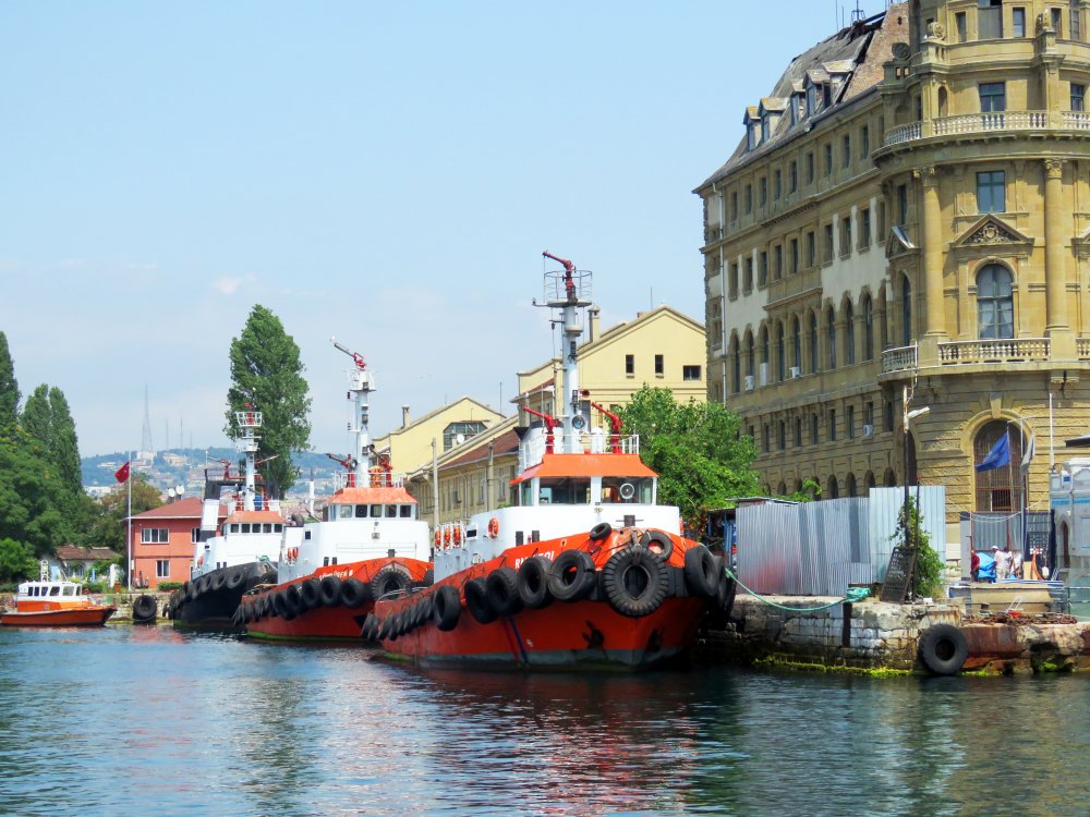RM 2501, IMO 8107749, Call sign TC6373, Seagoing tugs, Photo #4 RM 2501