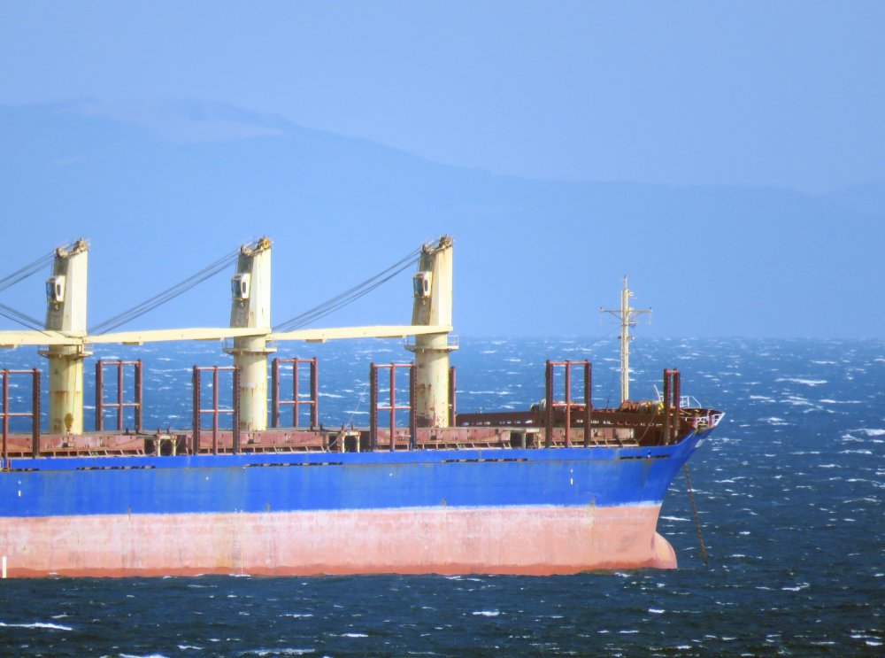 Blue Cecil