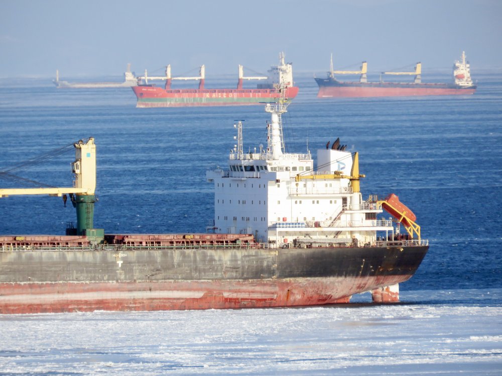 Pola Devora