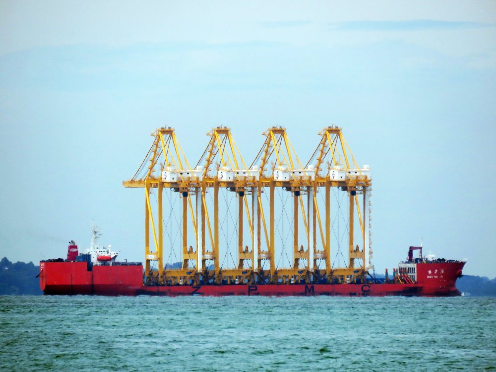 Zhen Hua 28