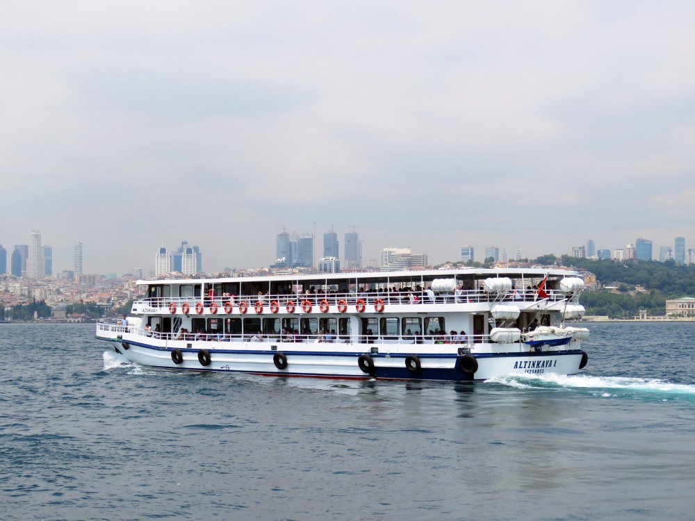 Altinkaya 1