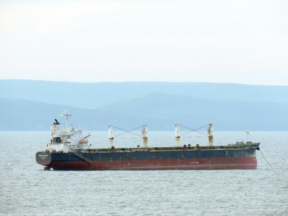 Densa Eagle