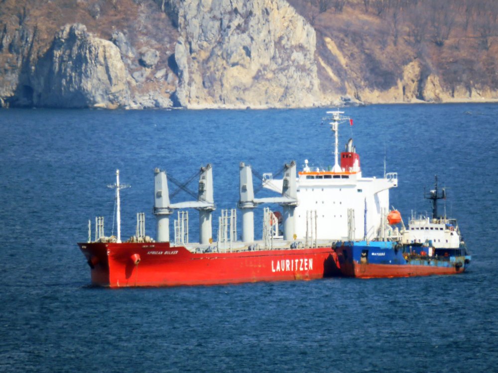 African Bulker
