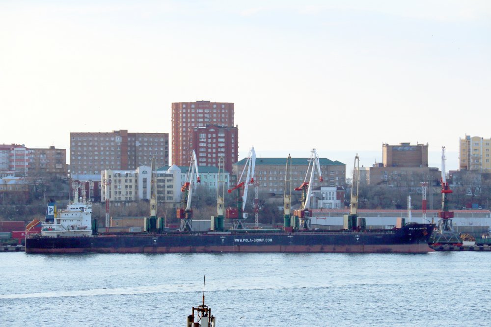 Pola Elisaveta