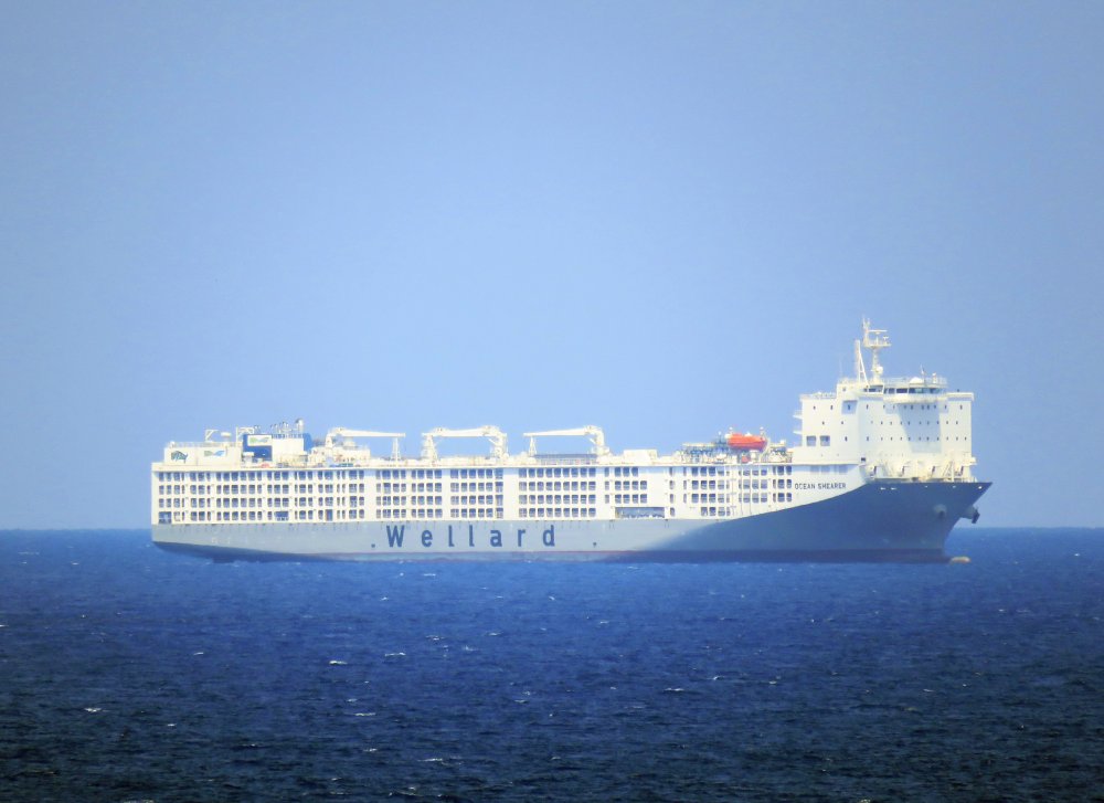 Ocean Shearer