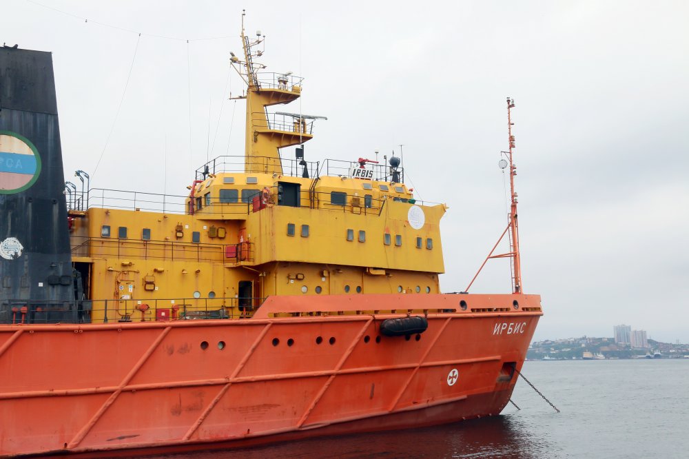 Irbis