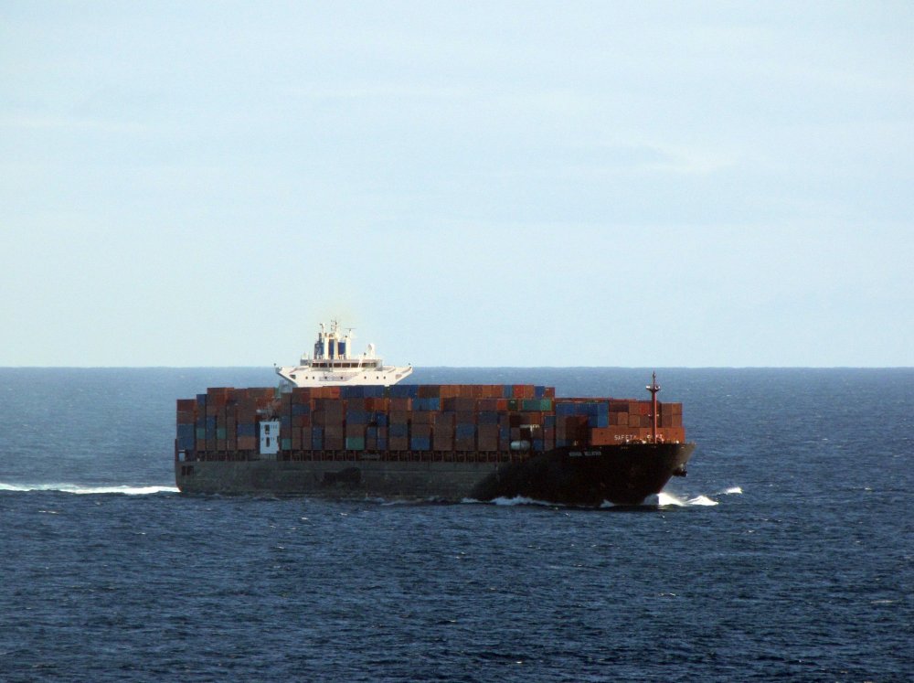 Norasia Bellatrix