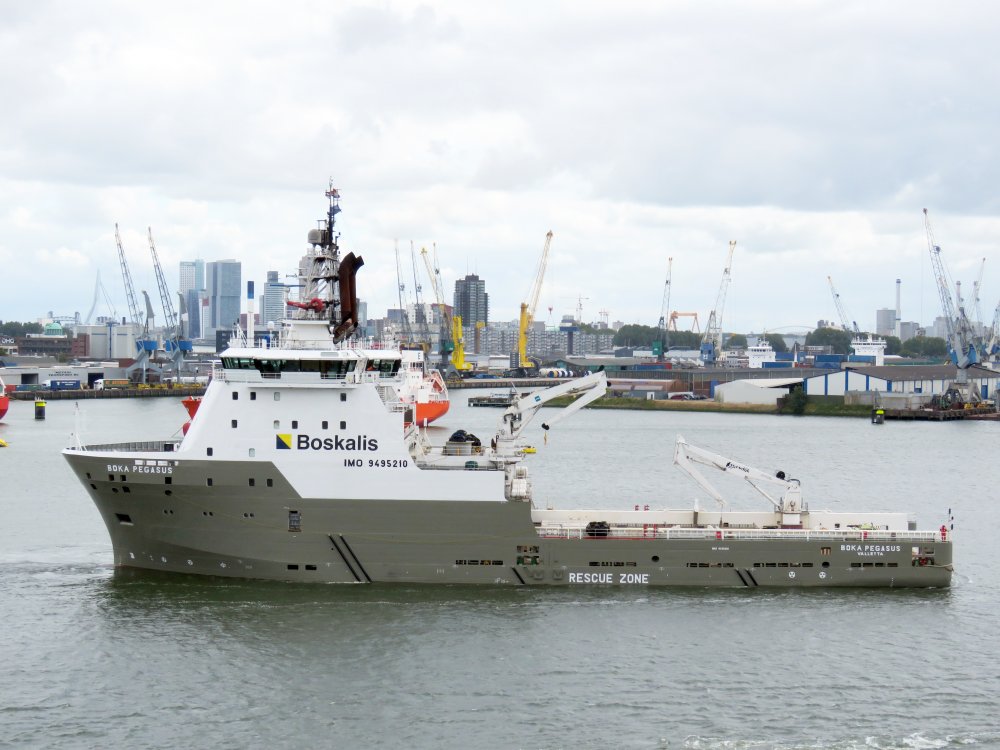Boka Pegasus