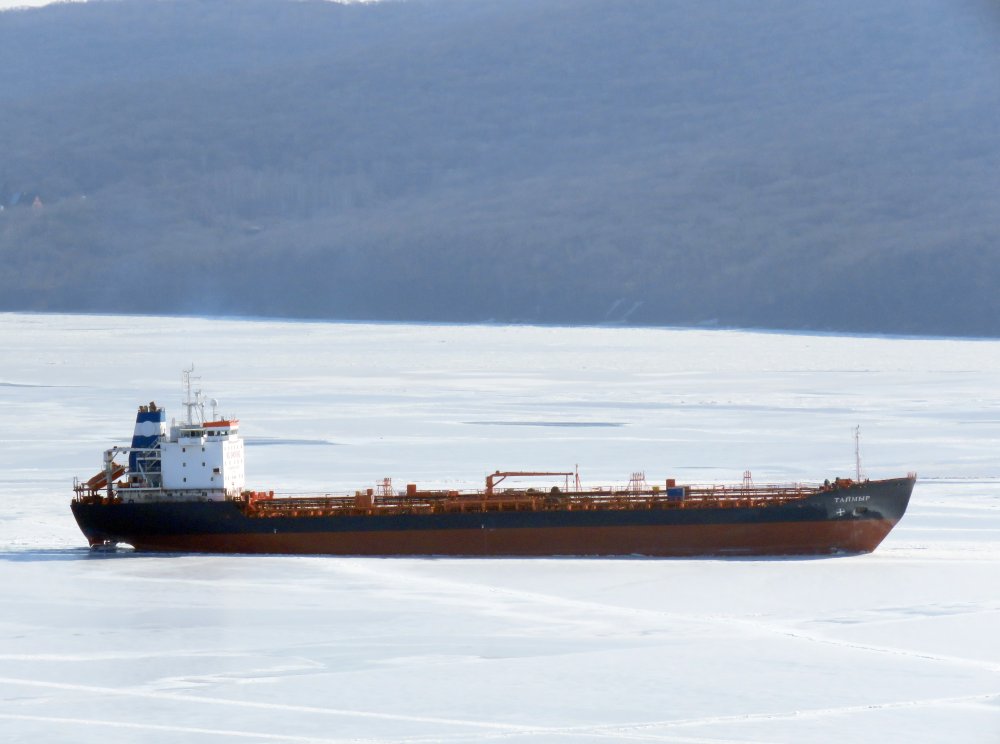 Taimyr