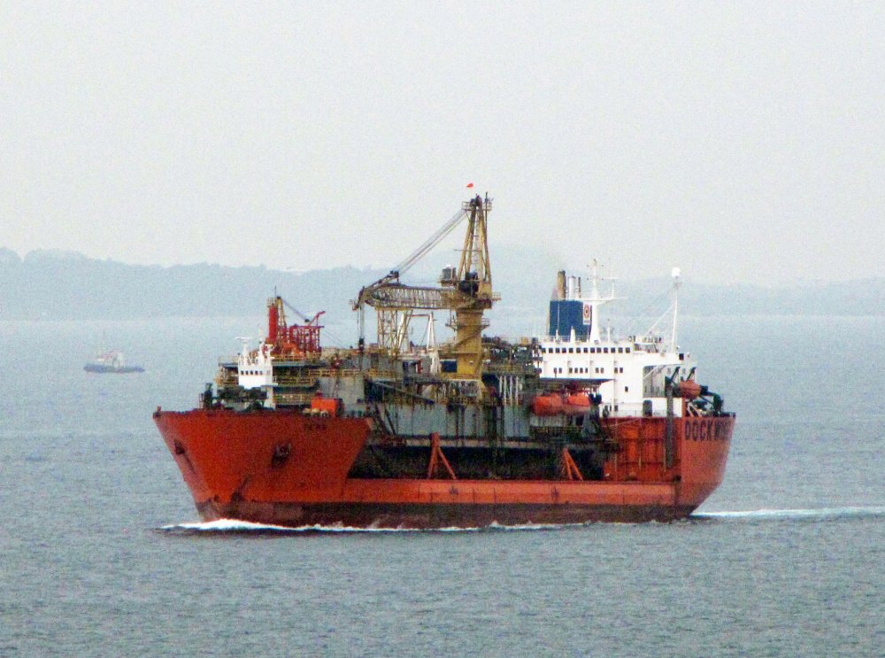 Tern